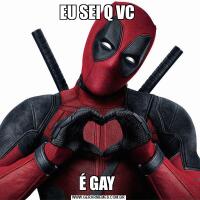 EU SEI Q VC É GAY 