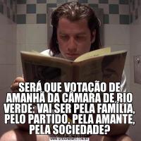 SERÁ QUE VOTAÇÃO DE AMANHÃ DA CÂMARA DE RIO VERDE: VAI SER PELA FAMÍLIA, PELO PARTIDO, PELA AMANTE, PELA SOCIEDADE?