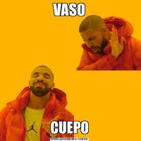 VASOCUEPO