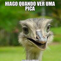 HIAGO QUANDO VER UMA PICA