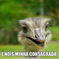 É NOIS MINHA CONSAGRADA