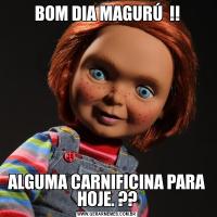 BOM DIA MAGURÚ  !!ALGUMA CARNIFICINA PARA HOJE. ??