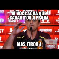 AÍ VOCÊ ACHA QUE GABARITOU A PROVAMAS TIROU 1