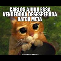 CARLOS AJUDA ESSA VENDEDORA DESESPERADA BATER META 