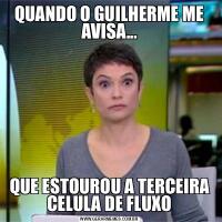 QUANDO O GUILHERME ME AVISA...QUE ESTOUROU A TERCEIRA CELULA DE FLUXO
