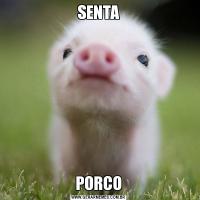 SENTAPORCO
