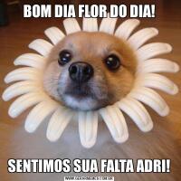 BOM DIA FLOR DO DIA!SENTIMOS SUA FALTA ADRI!