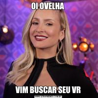 OI OVELHA VIM BUSCAR SEU VR