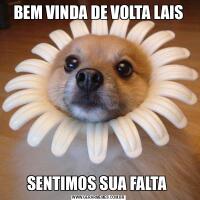 BEM VINDA DE VOLTA LAISSENTIMOS SUA FALTA 