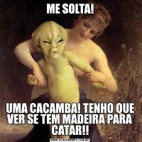 ME SOLTA!UMA CAÇAMBA! TENHO QUE VER SE TEM MADEIRA PARA CATAR!!