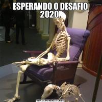 ESPERANDO O DESAFIO 2020.