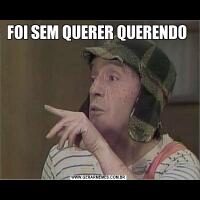 FOI SEM QUERER QUERENDO 