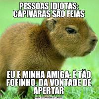 PESSOAS IDIOTAS: CAPIVARAS SÃO FEIASEU E MINHA AMIGA: É TÃO FOFINHO, DA VONTADE DE APERTAR