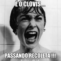 É O CLOVIS ...PASSANDO RECOLETA !!!