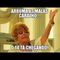 ARRUMA AS MALAS CARALHO....O 14 TÁ CHEGANDO!