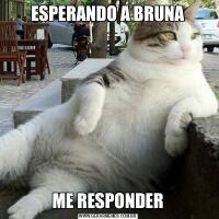 ESPERANDO A BRUNAME RESPONDER