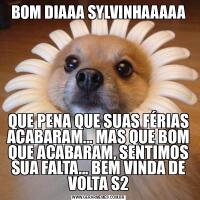 BOM DIAAA SYLVINHAAAAAQUE PENA QUE SUAS FÉRIAS ACABARAM... MAS QUE BOM QUE ACABARAM, SENTIMOS SUA FALTA... BEM VINDA DE VOLTA S2