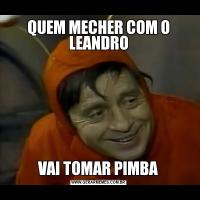 QUEM MECHER COM O LEANDROVAI TOMAR PIMBA