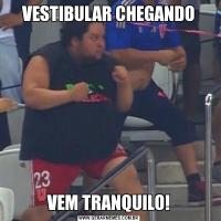 VESTIBULAR CHEGANDOVEM TRANQUILO!