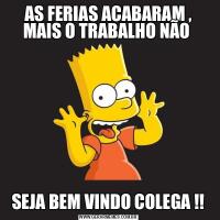 AS FERIAS ACABARAM , MAIS O TRABALHO NÃO SEJA BEM VINDO COLEGA !!