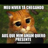 MEU NIVER TÁ CHEGANDOAOS QUE MIM AMAM QUERO PRESENTE 