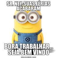 SR. NEY, SUAS FÉRIAS ACABARAMBORA TRABALHAR... SEJA BEM VINDO