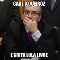CADÊ O QUEIROZ E GRITA LULA LIVRE 