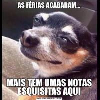 AS FÉRIAS ACABARAM...MAIS TEM UMAS NOTAS ESQUISITAS AQUI