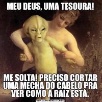 MEU DEUS, UMA TESOURA!ME SOLTA! PRECISO CORTAR UMA MECHA DO CABELO PRA VER COMO A RAIZ ESTÁ.