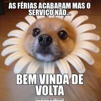 AS FÉRIAS ACABARAM MAS O SERVIÇO NÃO...BEM VINDA DE VOLTA