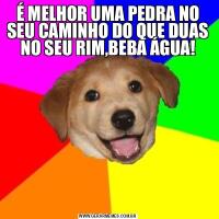 É MELHOR UMA PEDRA NO SEU CAMINHO DO QUE DUAS NO SEU RIM,BEBA ÁGUA!