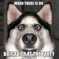 WHEN THERE IS NO BRIGADIER AT THE PARTY