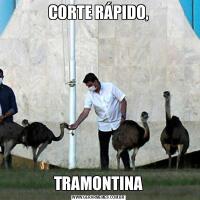 CORTE RÁPIDO,TRAMONTINA