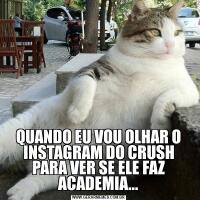 QUANDO EU VOU OLHAR O INSTAGRAM DO CRUSH PARA VER SE ELE FAZ ACADEMIA...