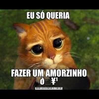 EU SÓ QUERIA FAZER UM AMORZINHO 