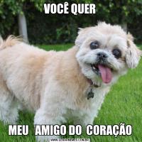 VOCÊ QUERMEU   AMIGO DO  CORAÇÃO