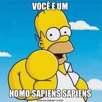VOCÊ É UMHOMO SAPIENS SAPIENS