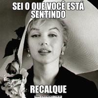 SEI O QUE VOCÊ ESTÁ SENTINDORECALQUE
