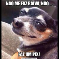 NÃO ME FAZ RAIVA, NÃO …FAZ UM PIX!