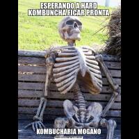 ESPERANDO A HARD KOMBUNCHA FICAR PRONTAKOMBUCHARIA MOGANO