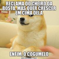 RECLAMA DO CHEIRO DA BOSTA, MAS QUER CRESCER EM CIMA DELAENFIM, O COGUMELO