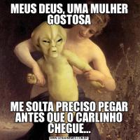 MEUS DEUS, UMA MULHER GOSTOSAME SOLTA PRECISO PEGAR ANTES QUE O CARLINHO CHEGUE...