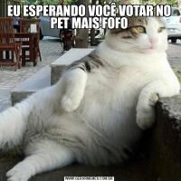 EU ESPERANDO VOCÊ VOTAR NO PET MAIS FOFO