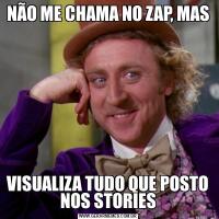 NÃO ME CHAMA NO ZAP, MASVISUALIZA TUDO QUE POSTO NOS STORIES