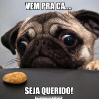 VEM PRA CA....SEJA QUERIDO!