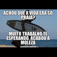 ACHOU QUE A VIDA ERA SÓ PRAIA?MUITO TRABALHO TE ESPERANDO, ACABOU A MOLEZA