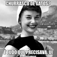 CHURRASCO DE GATOS?É TUDO QUE PRECISAVA, UI