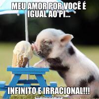 MEU AMOR POR VOCÊ É IGUAL AO PI...INFINITO E IRRACIONAL!!!