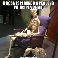 A ROSA ESPERANDO O PEQUENO PRÍNCIPE VOLTAR: