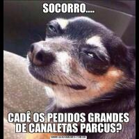 SOCORRO....CADÊ OS PEDIDOS GRANDES DE CANALETAS PARCUS?